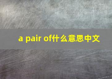 a pair of什么意思中文